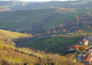 Terreno agricolo a Cellino Attanasio in vendita