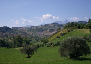 Terreno agricolo a Cellino Attanasio in vendita