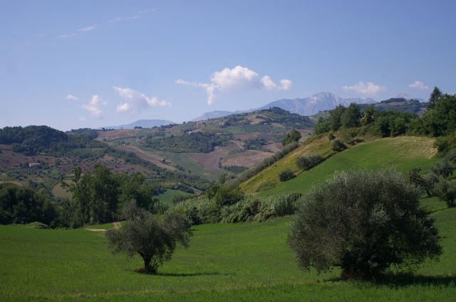 Terreno agricolo a Cellino Attanasio in vendita