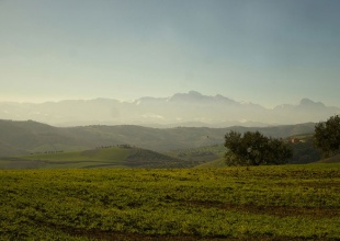 Terreno agricolo a Contrada Centorame, Atri in vendita