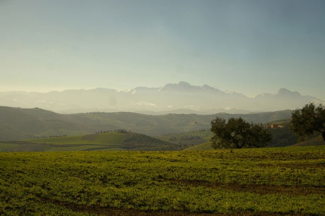 Terreno agricolo a Contrada Centorame, Atri in vendita