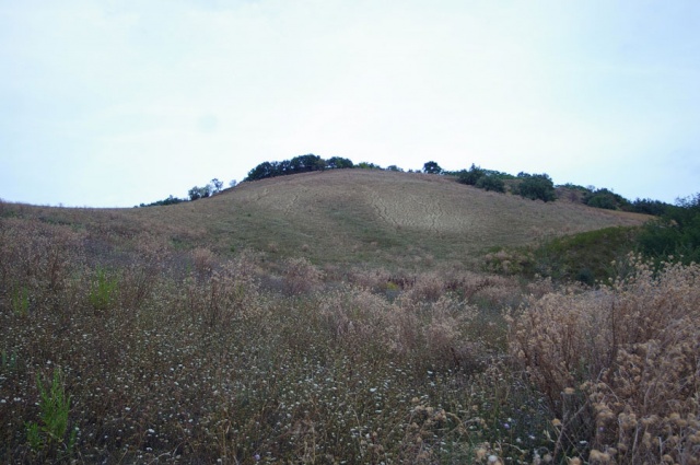 Terreno agricolo a Contrada Centorame, Atri in vendita