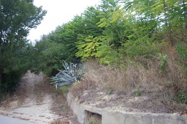 Terreno agricolo a Contrada Centorame, Atri in vendita