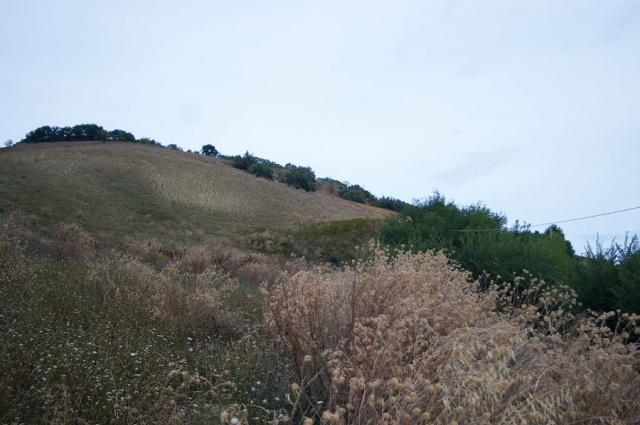 Terreno agricolo a Contrada Centorame, Atri in vendita