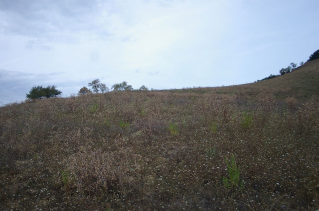 Terreno agricolo a Contrada Centorame, Atri in vendita