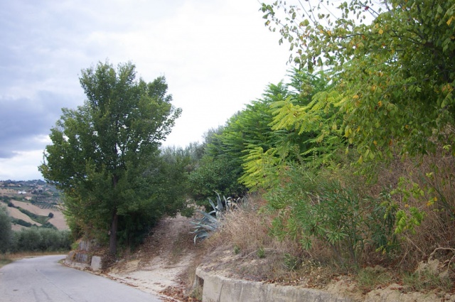 Terreno agricolo a Contrada Centorame, Atri in vendita