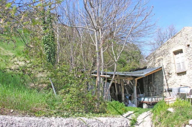 Casa in pietra a Tornareccio in vendita