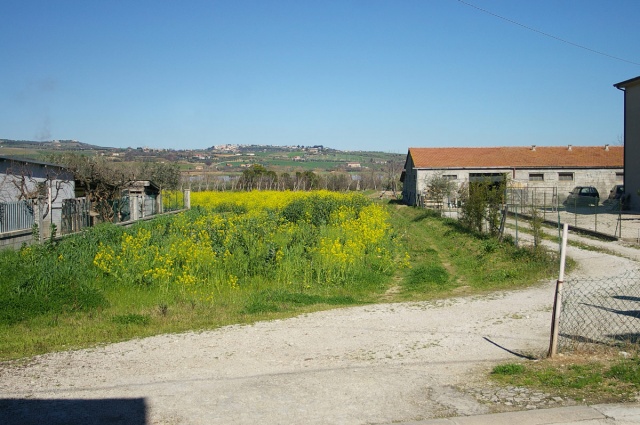 Terreno edificabile residenziale vicino ad Atri in vendita