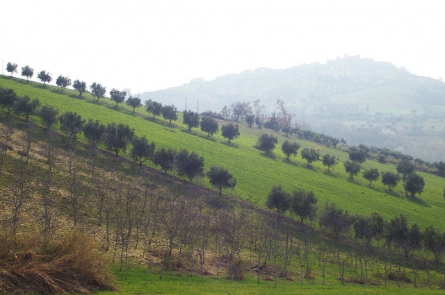 Vallarola, Cellino Attanasio, ,Terreno agricolo,Vendita,Contrada Vallarola,1427