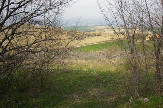 Vallarola, Cellino Attanasio, ,Terreno agricolo,Vendita,Contrada Vallarola,1427