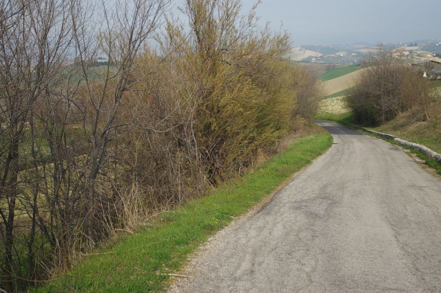 Vallarola, Cellino Attanasio, ,Terreno agricolo,Vendita,Contrada Vallarola,1427