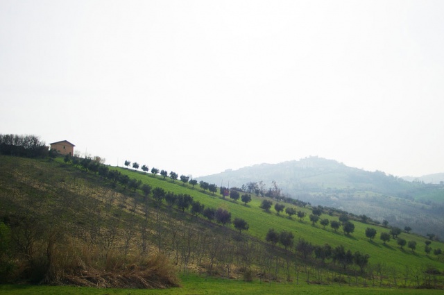 Vallarola, Cellino Attanasio, ,Terreno agricolo,Vendita,Contrada Vallarola,1427