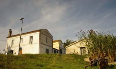 Casa singola con depandance e terreno di 5 ettari