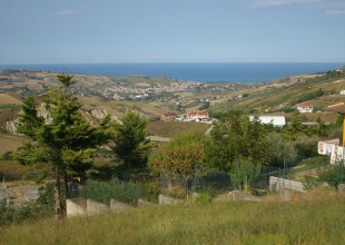 Colle Sciarra, Atri, ,Terreno edificabile,Vendita,Contrada Colle Sciarra,1516