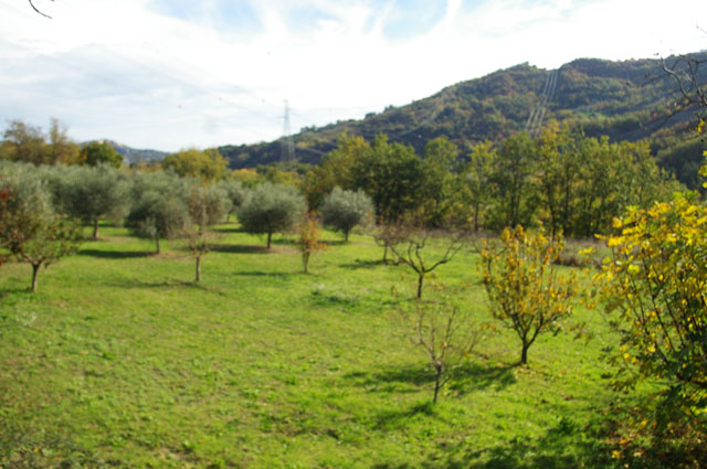 Castiglione Messer Raimondo, 3 Stanze da Letto Stanze da Letto, ,5 BathroomsBathrooms,Casa indipendente,Vendita,Contrada Piani Appignano,1542