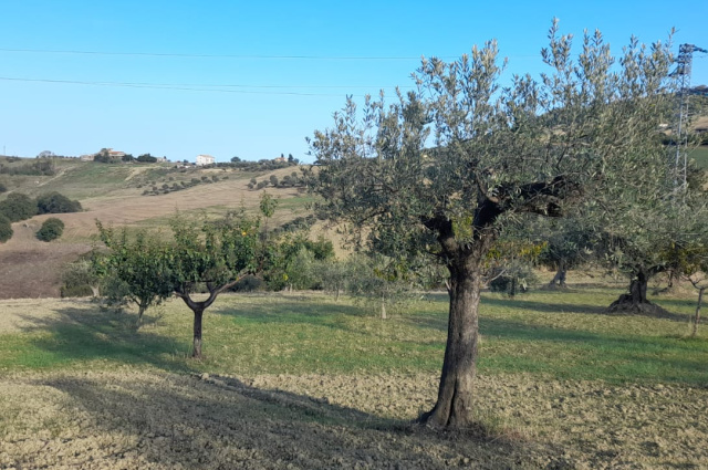 Atri, 2 Stanze da Letto Stanze da Letto, ,2 BathroomsBathrooms,Villa,Vendita,Contrada Cagno 30,1544