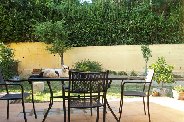 Atri, 3 Stanze da Letto Stanze da Letto, ,2 BathroomsBathrooms,Villetta a schiera,Vendita,Via Proserpina 21,1546